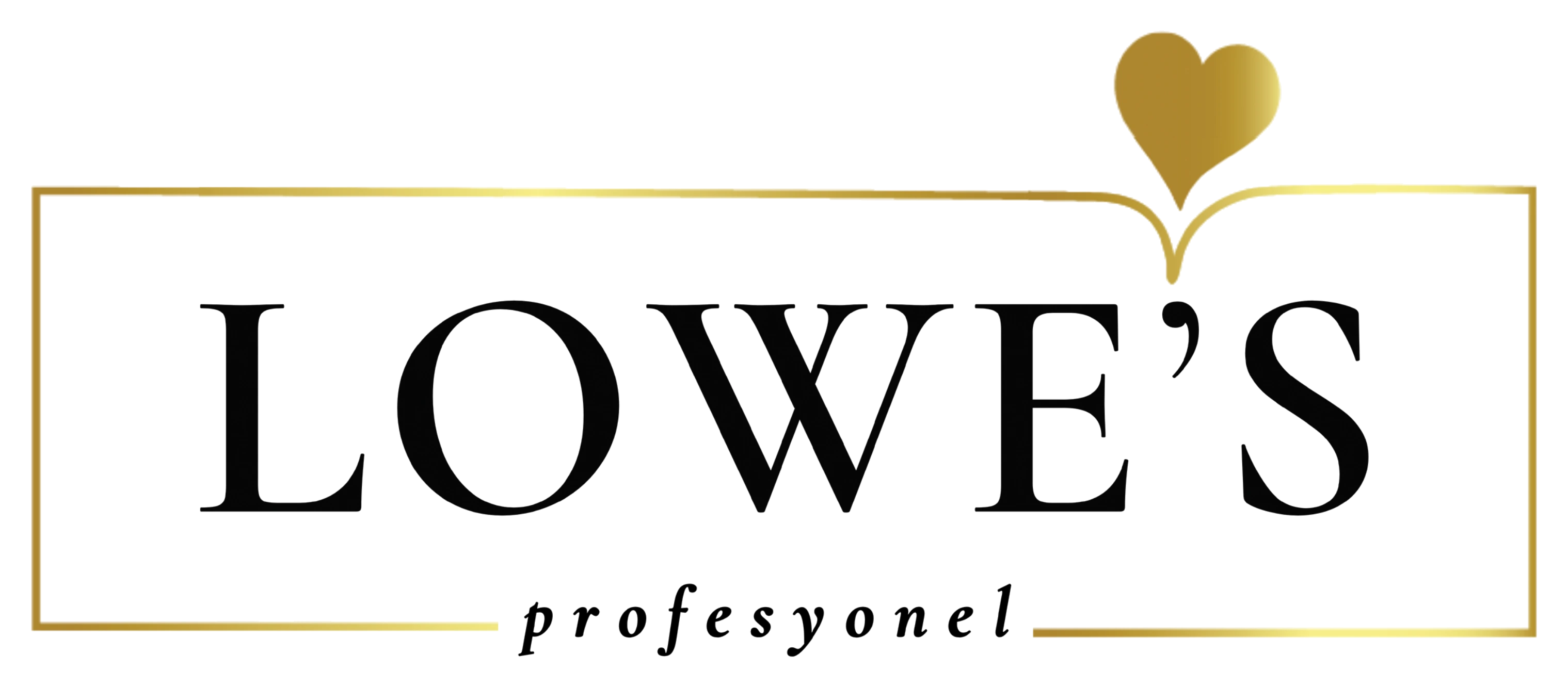 LOWE'S profesyonel — official logo